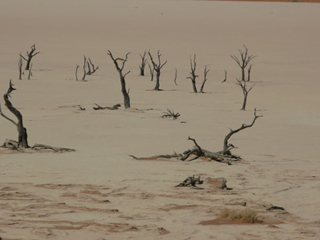 Namibiadeath valley
