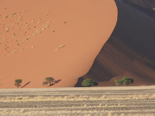 Namibia Namib Naukluft Area