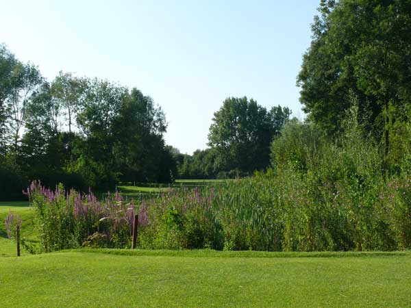 Golfclub M�nster-Wilkinghege Abschlag Bahn 14