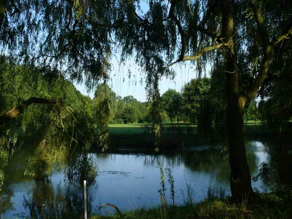 Golfclub M�nster-Wilkinghege Gr�n 12