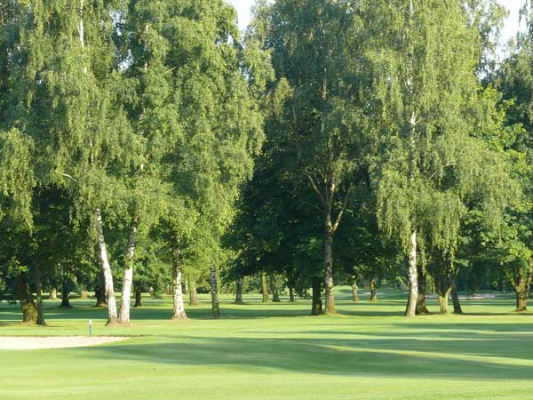 Golfclub M�nster-Wilkinghege Impression