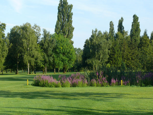 Golfclub M�nster-Wilkinghege Bahn 18