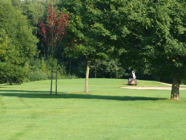 Golfclub M�nster-Wilkinghege Gr�n 13