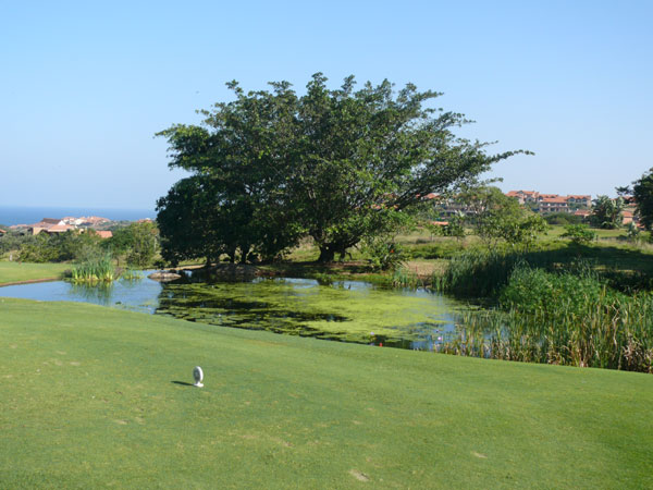 Zimbali Golf Course