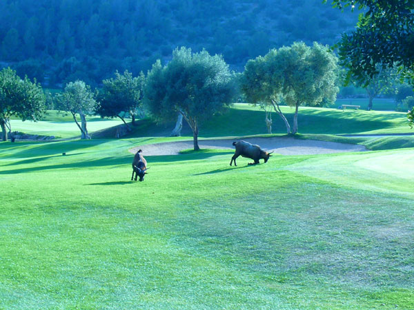 Son Termens Golf Course