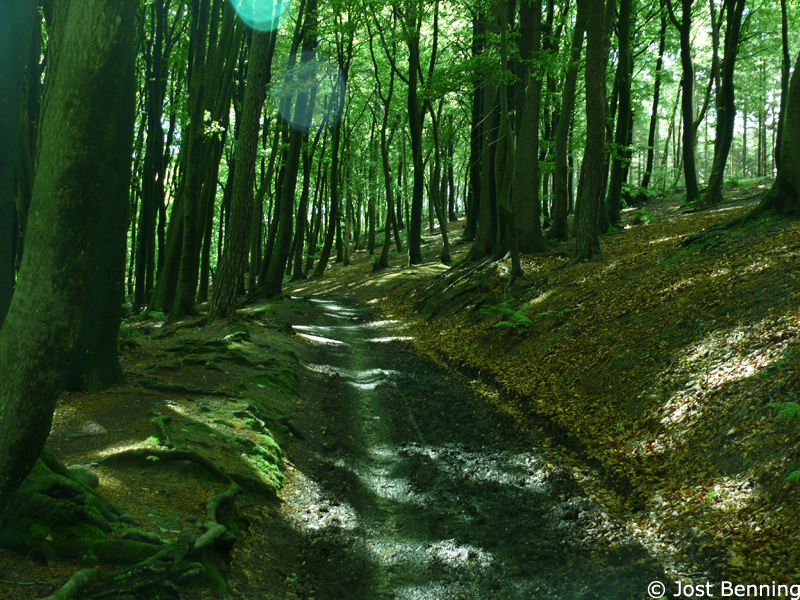 Hermannsweg Bielefeld - Hörste