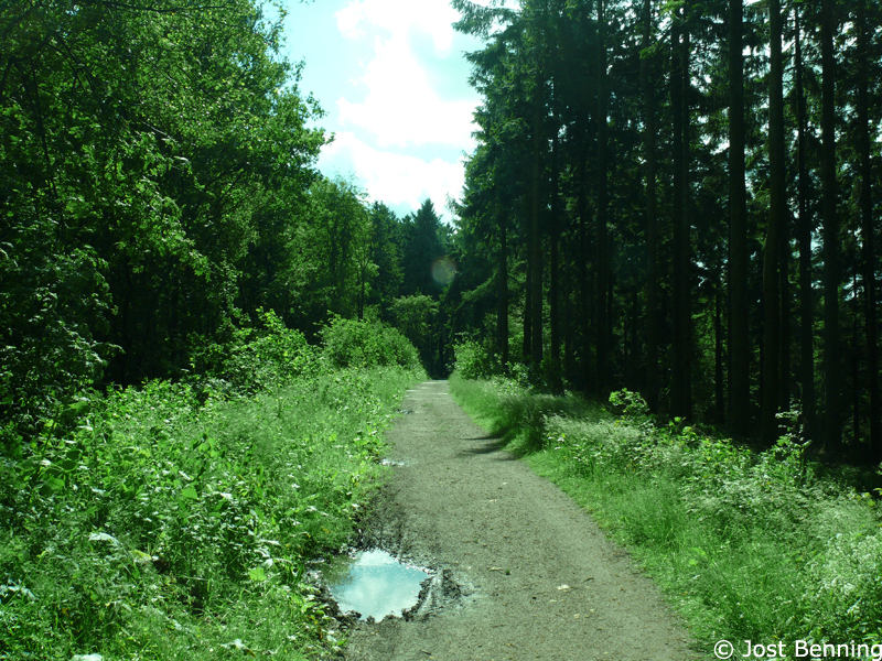 Hermannsweg Bielefeld - Hörste