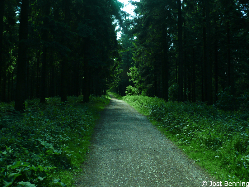 Hermannsweg Bielefeld - Hörste