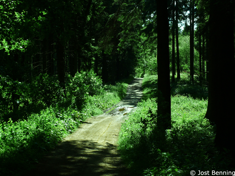 Hermannsweg Bielefeld - Hörste