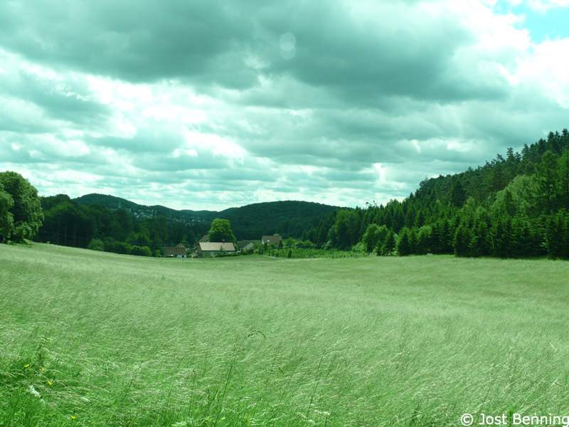 Hermannsweg Bielefeld - Hörste