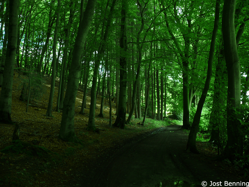 Hermannsweg Bielefeld - Hörste