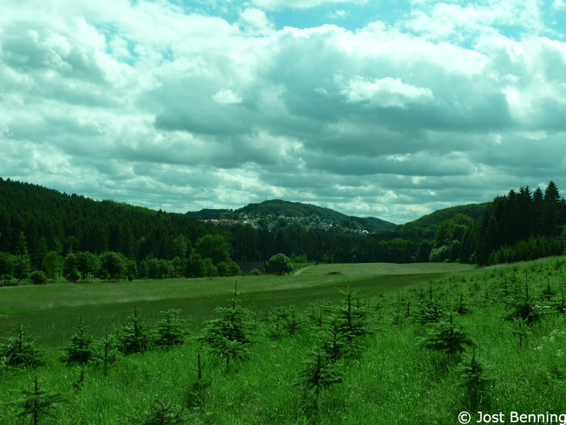Hermannsweg Bielefeld - Hörste