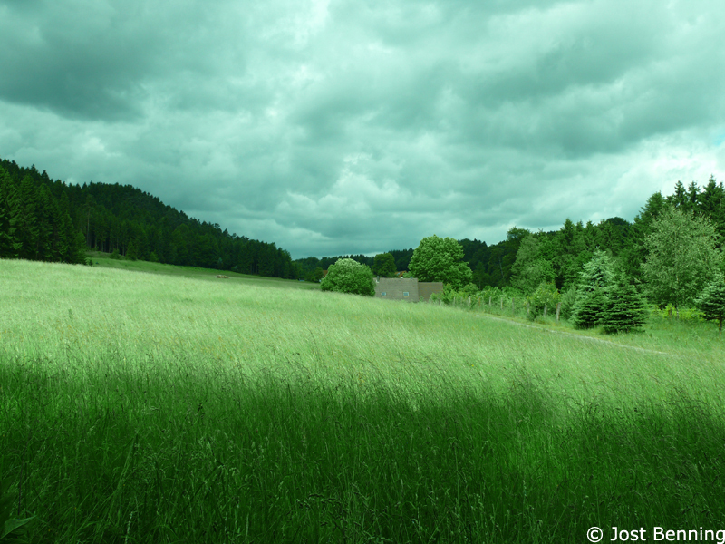 Hermannsweg Bielefeld - Hörste