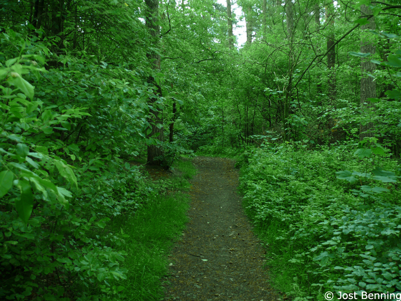Hermannsweg Bielefeld - Hörste