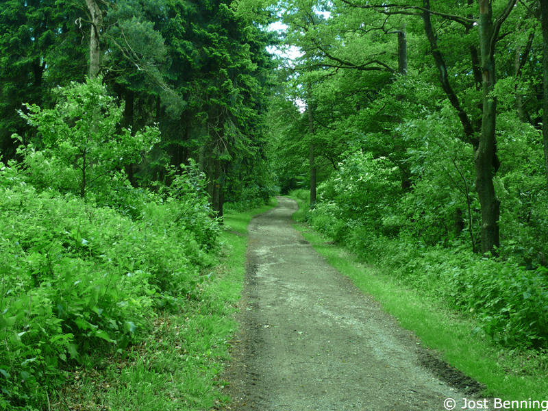Hermannsweg Bielefeld - Hörste