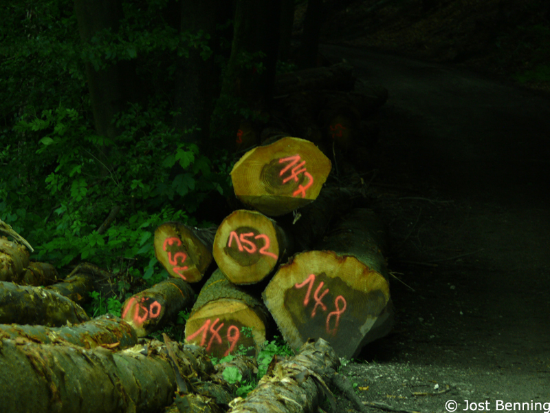 Hermannsweg Bielefeld - Hörste