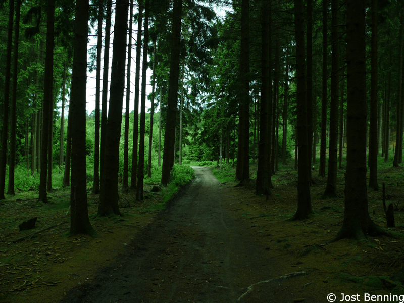 Hermannsweg Bielefeld - Hörste