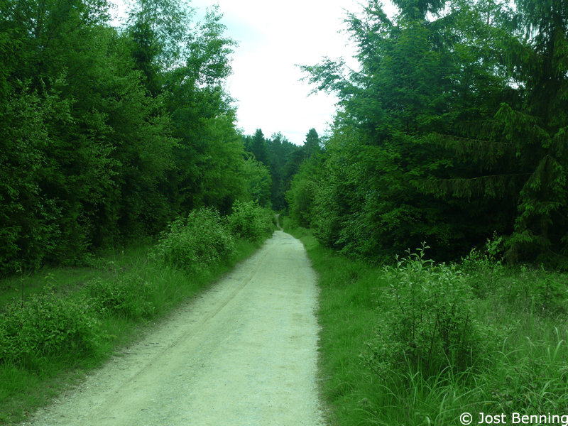Hermannsweg Bielefeld - Hörste