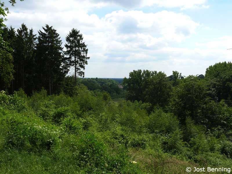 Hermannsweg Hörstel - Tecklenburg