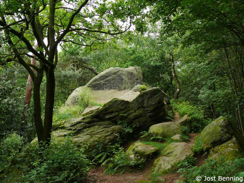 Hermannsweg Hörstel - Tecklenburg