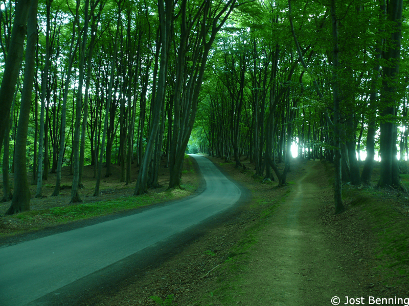 Hermannsweg Tecklenburg - Bad Iburg