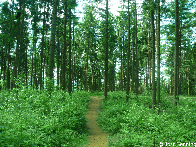 Hermannsweg Tecklenburg - Bad Iburg