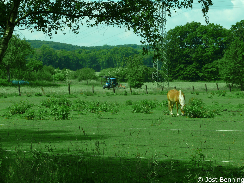 Hermannsweg Tecklenburg - Bad Iburg