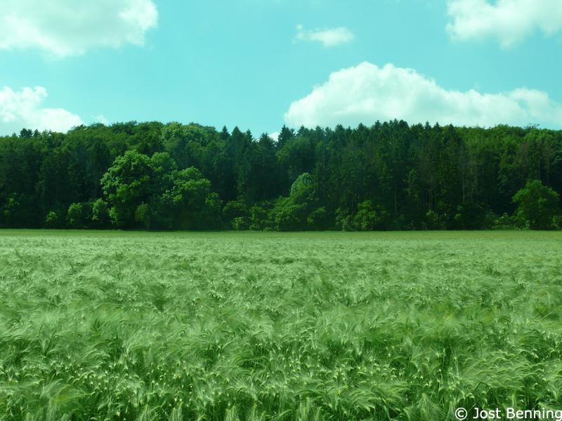 Hermannsweg Tecklenburg - Bad Iburg