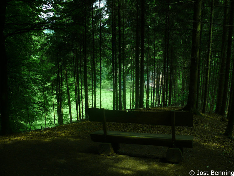 Hermannsweg Tecklenburg - Bad Iburg