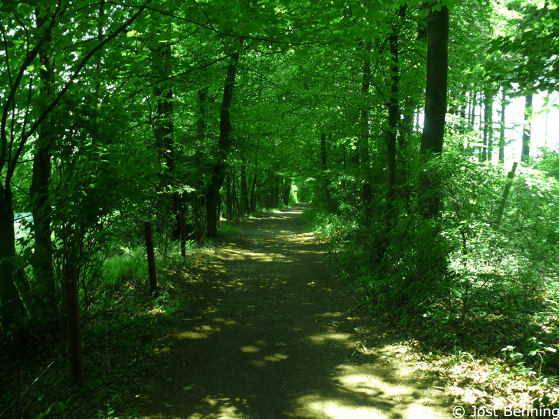 Hermannsweg Tecklenburg - Bad Iburg