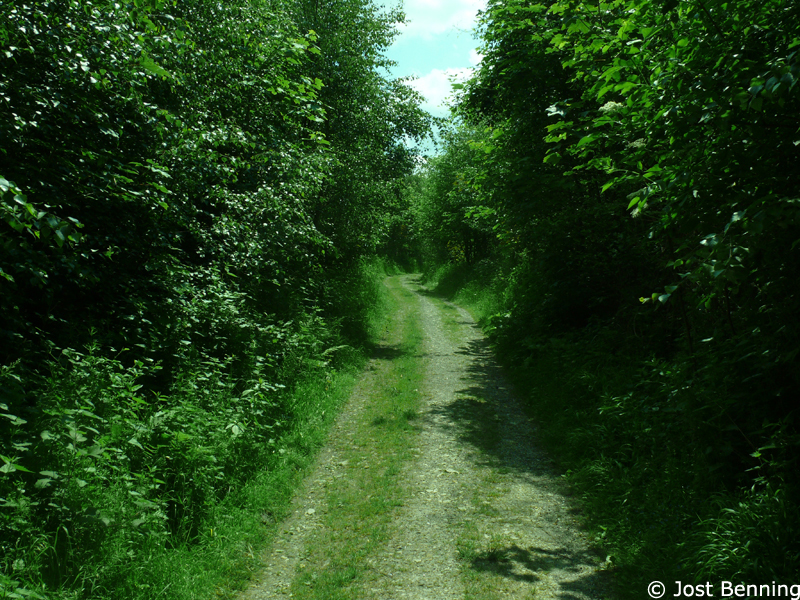 Hermannsweg Tecklenburg - Bad Iburg